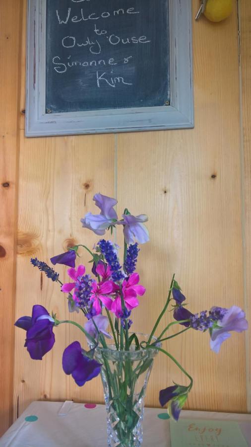 Bed and Breakfast Owly 'Ouse Barnstaple Exteriér fotografie
