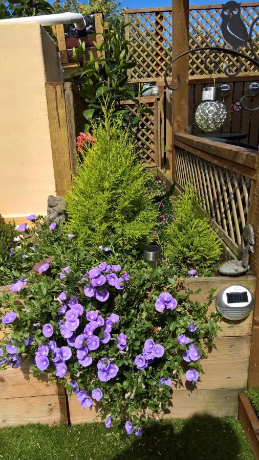 Bed and Breakfast Owly 'Ouse Barnstaple Exteriér fotografie