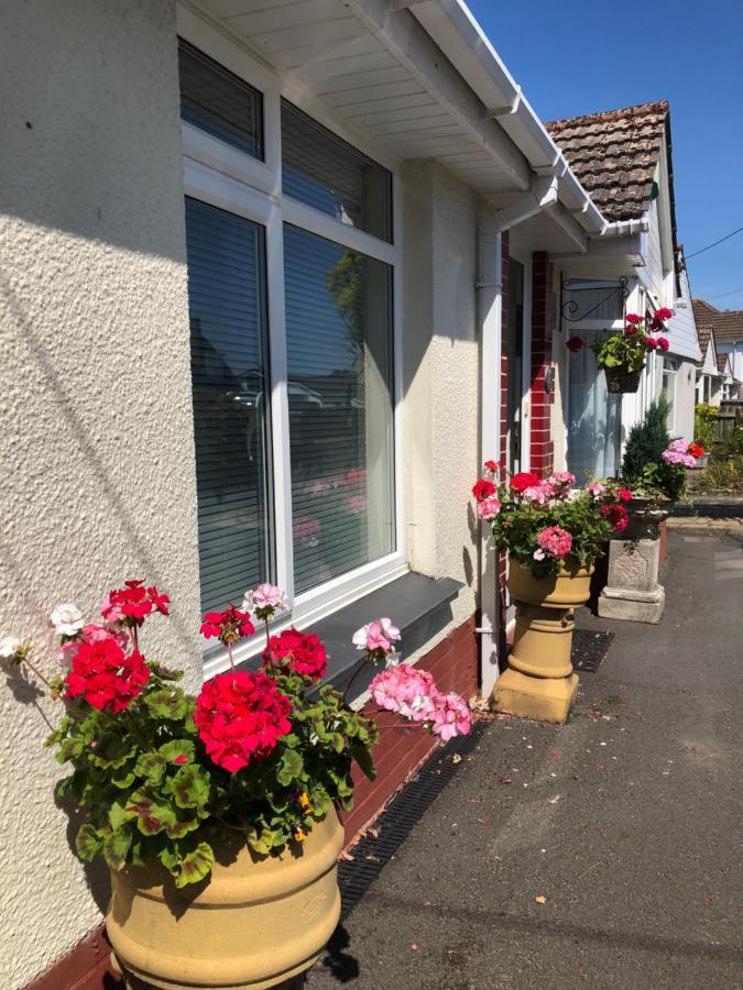 Bed and Breakfast Owly 'Ouse Barnstaple Exteriér fotografie